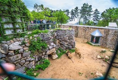 Pécs, az Állatkert-stock-foto