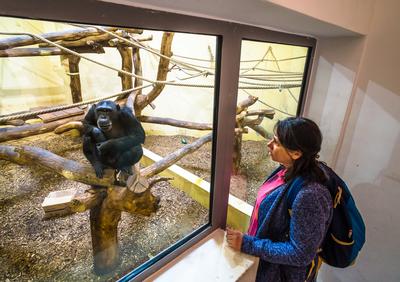 Pécs, az Állatkert-stock-foto