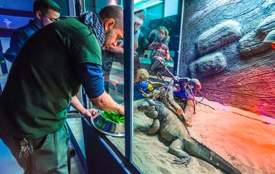 Pécs, az Állatkert-stock-foto