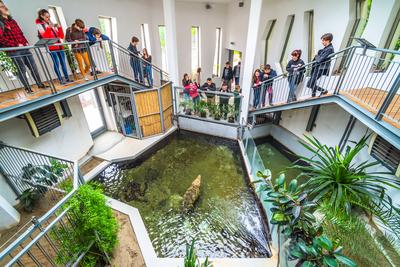 Pécs, az Állatkert-stock-foto