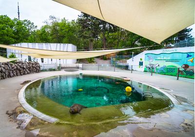 Pécs, az Állatkert-stock-foto