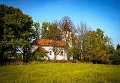 Vérteskozma-stock-foto