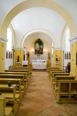 Vérteskozma-stock-foto