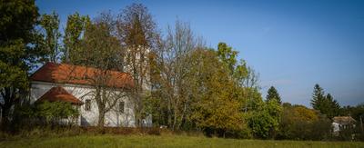 Vérteskozma-stock-foto