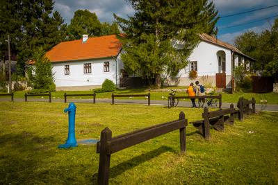 Vérteskozma-stock-foto