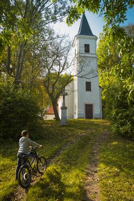 Vérteskozma-stock-foto