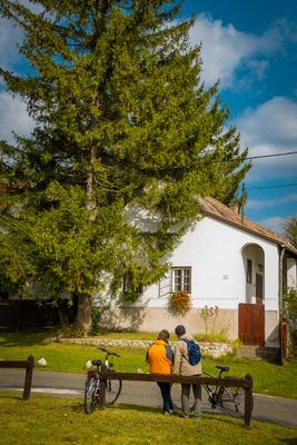 Vérteskozma-stock-foto