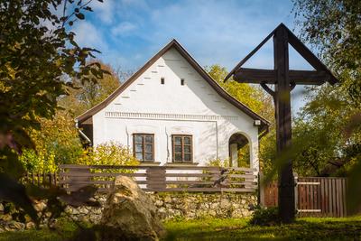 Vérteskozma-stock-foto