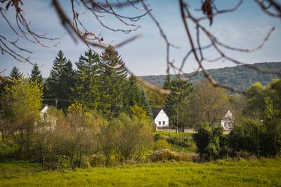 Vérteskozma-stock-foto