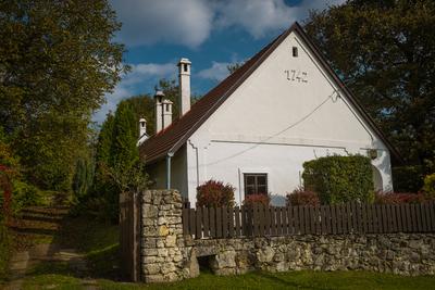 Vérteskozma-stock-foto