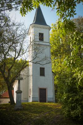 Vérteskozma-stock-foto