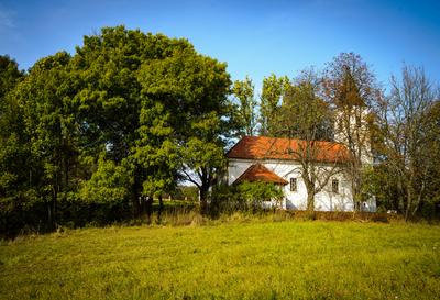 Vérteskozma-stock-foto