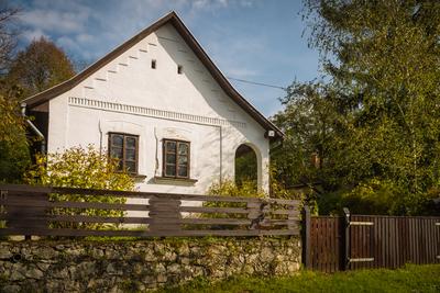 Vérteskozma-stock-foto