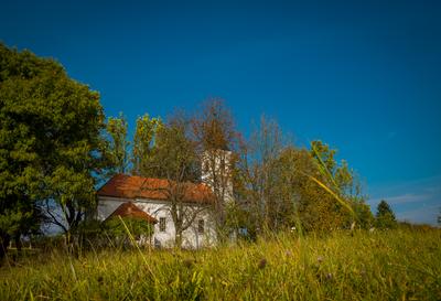 Vérteskozma-stock-foto