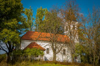 Vérteskozma-stock-foto
