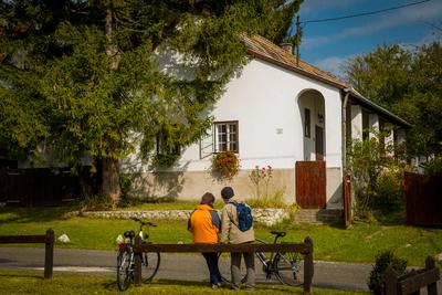 Vérteskozma-stock-foto