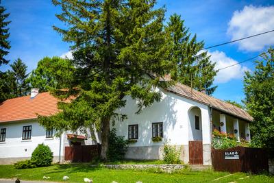 Vérteskozma-stock-foto