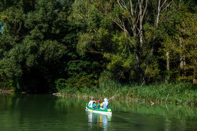 Szigetköz-stock-foto