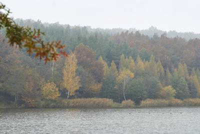 A Hársastó és környéke, Szentgotthárd-stock-foto