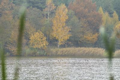 A Hársastó és környéke, Szentgotthárd-stock-foto