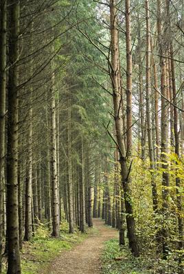 A Hársastó és környéke, Szentgotthárd-stock-foto