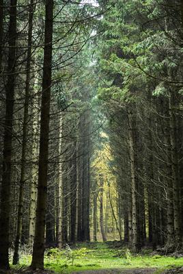 A Hársastó és környéke, Szentgotthárd-stock-foto