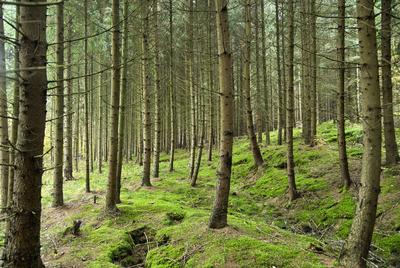 A Hársastó és környéke, Szentgotthárd-stock-foto