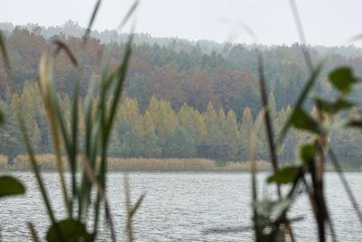 A Hársastó és környéke, Szentgotthárd-stock-foto