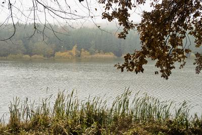 A Hársastó és környéke, Szentgotthárd-stock-foto