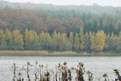 A Hársastó és környéke, Szentgotthárd-stock-foto