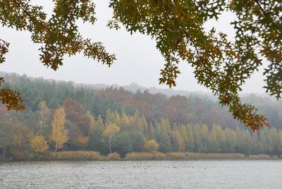 A Hársastó és környéke, Szentgotthárd-stock-foto