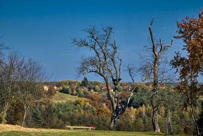 Szalafő, Pityerszer-stock-foto