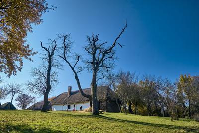 Szalafő, Pityerszer-stock-foto