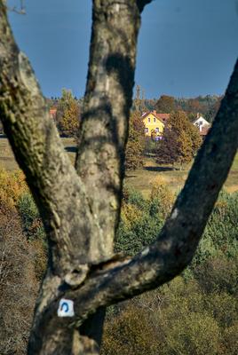Szalafő, Pityerszer-stock-foto