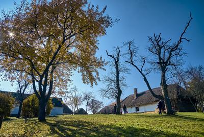 Szalafő, Pityerszer-stock-foto