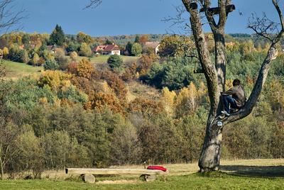 Szalafő, Pityerszer-stock-foto