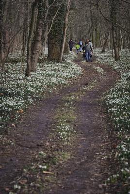Alcsúti Arborétum-stock-foto