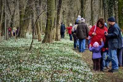 Alcsúti Arborétum-stock-foto
