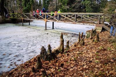 Alcsúti Arborétum-stock-foto