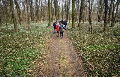 Alcsúti Arborétum-stock-foto