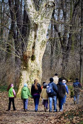 Alcsúti Arborétum-stock-foto