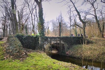 Alcsúti Arborétum-stock-foto