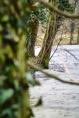 Alcsúti Arborétum-stock-foto