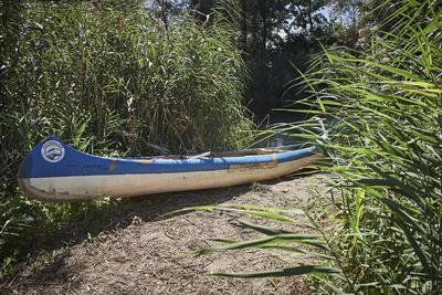 Szigetköz-stock-foto