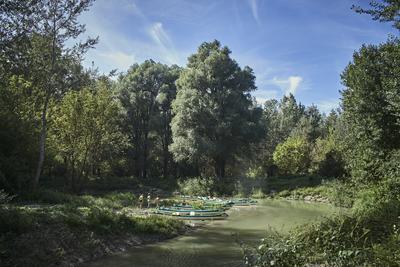 Szigetköz-stock-foto