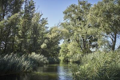 Szigetköz-stock-foto