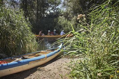 Szigetköz-stock-foto