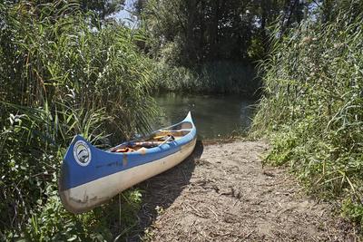 Szigetköz-stock-foto
