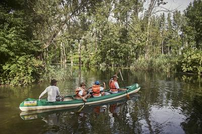 Szigetköz-stock-foto