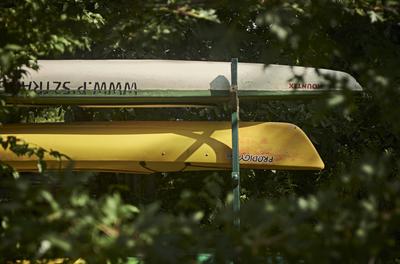 Szigetköz-stock-foto